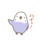 インコといっしょ3（個別スタンプ：1）