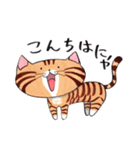 ねこに免じて（個別スタンプ：1）