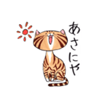 ねこに免じて（個別スタンプ：2）