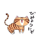 ねこに免じて（個別スタンプ：13）