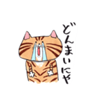 ねこに免じて（個別スタンプ：18）