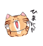 ねこに免じて（個別スタンプ：19）