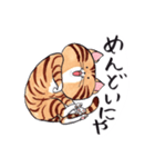 ねこに免じて（個別スタンプ：21）