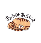 ねこに免じて（個別スタンプ：30）