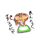 ねこに免じて（個別スタンプ：31）