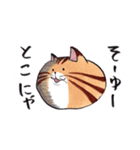 ねこに免じて（個別スタンプ：35）