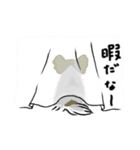パピヨンバラエティパック2（個別スタンプ：13）