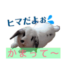 ぴちお＆もみじ（個別スタンプ：2）