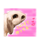 ぴちお＆もみじ（個別スタンプ：4）