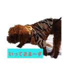 ボクの言葉だよ〰️（個別スタンプ：1）