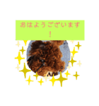 ボクの言葉だよ〰️（個別スタンプ：3）