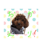 ボクの言葉だよ〰️（個別スタンプ：16）
