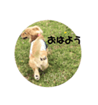 kuichan（個別スタンプ：8）