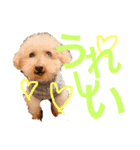 ラックの楽チン生活②（個別スタンプ：2）