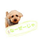 ラックの楽チン生活②（個別スタンプ：3）
