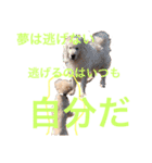 ラックの楽チン生活②（個別スタンプ：4）
