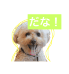 ラックの楽チン生活②（個別スタンプ：6）