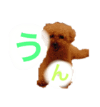 ラックの楽チン生活②（個別スタンプ：7）
