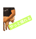 ラックの楽チン生活②（個別スタンプ：8）