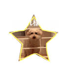 ラックの楽チン生活②（個別スタンプ：12）