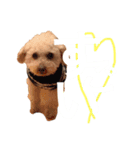 ラックの楽チン生活②（個別スタンプ：13）
