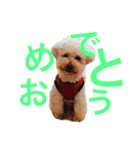 ラックの楽チン生活②（個別スタンプ：18）