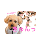ラックの楽チン生活②（個別スタンプ：21）