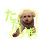 ラックの楽チン生活②（個別スタンプ：23）