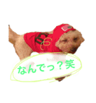 ラックの楽チン生活②（個別スタンプ：24）