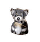 犬 Crystal Dogs 犬たち4（個別スタンプ：7）