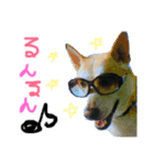 ライくんのスタンプ（個別スタンプ：5）