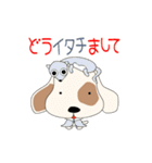 雑種犬小太郎のダジャレスタンプ（個別スタンプ：8）