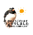 水族館でご連絡（個別スタンプ：1）
