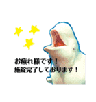 水族館でご連絡（個別スタンプ：2）