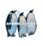 水族館でご連絡（個別スタンプ：3）