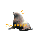 水族館でご連絡（個別スタンプ：9）