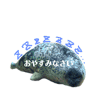 水族館でご連絡（個別スタンプ：10）
