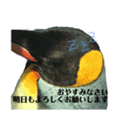 水族館でご連絡（個別スタンプ：12）