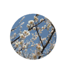 ひたすら花や自然を愛でるスタンプ（個別スタンプ：5）
