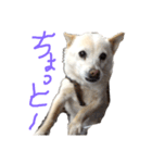 ミルみる（個別スタンプ：2）