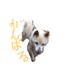 ミルみる（個別スタンプ：3）