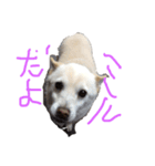 ミルみる（個別スタンプ：4）