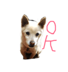 ミルみる（個別スタンプ：6）