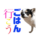 「ちー組」のちゃー（個別スタンプ：21）