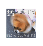 てぃあらです。（個別スタンプ：7）