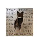 てぃあらです。（個別スタンプ：8）