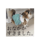 てぃあらです。（個別スタンプ：9）