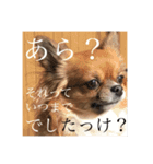 てぃあらです。（個別スタンプ：14）