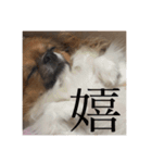 てぃあらです。（個別スタンプ：16）