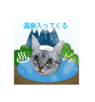 ヴェリタたちの日常（個別スタンプ：13）